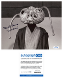 David Stone STAR WARS Signed Autograph 8x10 Photo A New Hope Wioslea ACOA COA