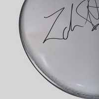 Zak Starkey Signed Autograph 12" Drumhead The Who Oasis Band Drummer Beckett COA