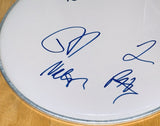 Foo Fighters Signed Autograph 12" Drumhead Dave Grohl Taylor Hawkins Band x4 BAS