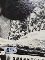 45225023
