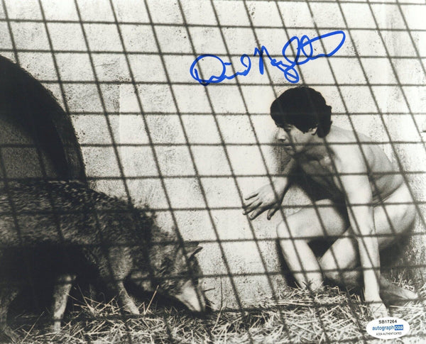 David Naughton Signed AN AMERICAN WEREWOLF IN LONDON Autograph 8x10 Photo ACOA