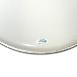 Steven Adler GUNS N' ROSES Signed 12" Drumhead Autograph Drummer ACOA COA