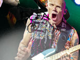 Flea Red Hot Chili Peppers Signed Autograph 16x20 Photo Poster RHCP Beckett COA