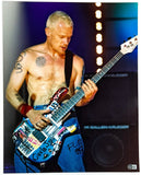 Flea Red Hot Chili Peppers Signed Autograph 16x20 Photo Poster RHCP Beckett COA