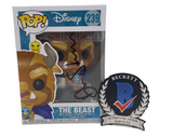 Dan Stevens Signed Autographed Funko Pop Beauty and The Beast #239 Beckett COA