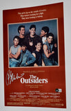 Ralph Macchio Signed Autograph The Outsiders 11x17 Movie Poster Beckett BAS COA