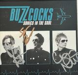 Buzzcocks Band Signed Framed CD Display Sonics in the Soul Autograph COA