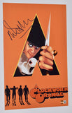 Malcolm McDowell Signed A Clockwork Orange 11x17 Movie Poster Photo Beckett COA