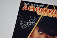 Malcolm McDowell Signed Autograph 11x14 Photo A Clockwork Orange Beckett BAS COA