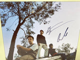 Wallows Signed Tell Me That It's Over Insert Yellow Vinyl LP Dylan Minnette COA