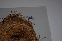 Wilco Signed Autographed A GHOST IS BORN Vinyl Record Album Jeff Tweedy +5 COA