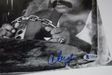 Cheech Marin & Tommy Chong Signed Autographed 12x18 Photo UP IN SMOKE BAS COA