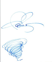 Ian Ziering Signed Autographed Hand Drawn Sketch SHARKNADO COA VD