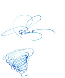 Ian Ziering Signed Autographed Hand Drawn Sketch SHARKNADO COA VD