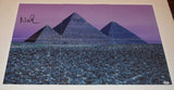 Nick Mason Signed Pink Floyd Dark Side of the Moon 20x30 Poster PSA/DNA COA