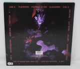 Robert Smith The Cure Signed Autograph Disintegration Vinyl Record Album BAS COA