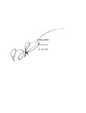 Bo Burnham Signed Autographed EIGHTH GRADE Full Movie Script COA