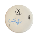 Carter Beauford Signed Autographed 14" Drumhead Dave Matthews Band Beckett COA