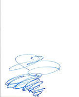 Ian Ziering Signed Autographed Hand Drawn Sketch SHARKNADO COA VD