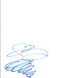 Ian Ziering Signed Autographed Hand Drawn Sketch SHARKNADO COA VD