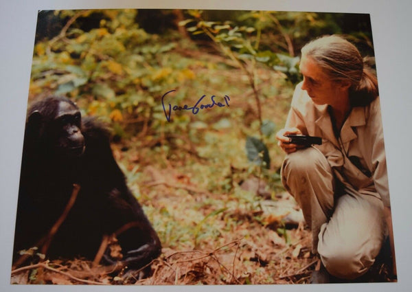 Jane Goodall Signed Autographed 11x14 Photo Primatologist COA VD