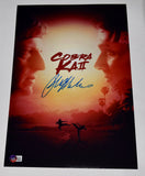 Ralph Macchio Signed Autograph Cobra Kai 11x17 Poster The Karate Kid Beckett COA