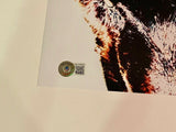 Corey Taylor Signed Slipknot Iowa Album Cover 12x12 Photo Beckett Witness COA