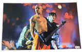 Flea Signed Autographed 12x18 Photo Poster Beckett Red Hot Chili Peppers COA