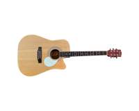 Chrissie Hynde Signed Full Size Acoustic Guitar The Pretenders ACOA COA