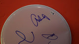 Foo Fighters Full Band Signed Autograph Drumhead Dave Grohl + 4 Beckett BAS COA