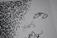 Wilco Signed Autographed SKY BLUE SKY Vinyl Record Album Jeff Tweedy +5 COA