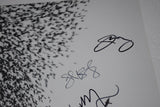 Wilco Signed Autographed SKY BLUE SKY Vinyl Record Album Jeff Tweedy +5 COA