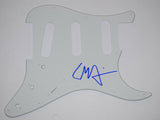 Liam Finn Signed Autographed Electric Guitar Pickguard  COA