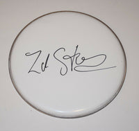 Zak Starkey Signed Autographed 12" Drumhead The Who Oasis Ringo Starr COA
