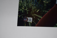 Ralph Macchio Signed Autographed 11x14 Photo The Karate Kid Beckett BAS COA
