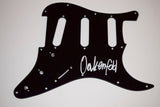 Paul Oakenfold Signed Autographed Guitar Pickguard EDM DJ Planet Perfecto COA