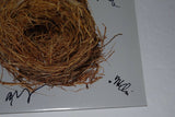 Wilco Signed Autographed A GHOST IS BORN Vinyl Record Album Jeff Tweedy +5 COA