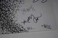 Wilco Signed Autographed SKY BLUE SKY Vinyl Record Album Jeff Tweedy +5 COA