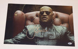 Laurence Fishburne Signed Autographed 12x18 Poster Photo THE MATRIX Beckett COA