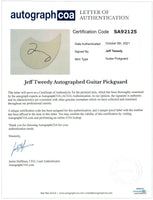 Jeff Tweedy Signed Autographed Full Size Acoustic Guitar Wilco ACOA COA