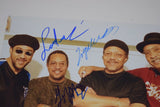 The Meters Band Signed 8x12 Photo Leo Nocentelli George Porter Jr Modeliste COA